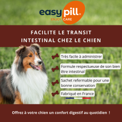 Easypill Chien Transit