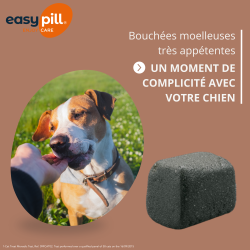 Easypill Chien Transit