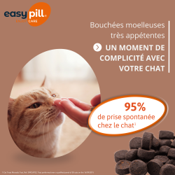 Easypill Chat boules de poils