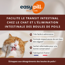 Easypill Chat boules de poils
