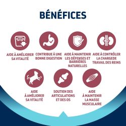 Advance Chat Stérilisé Senior