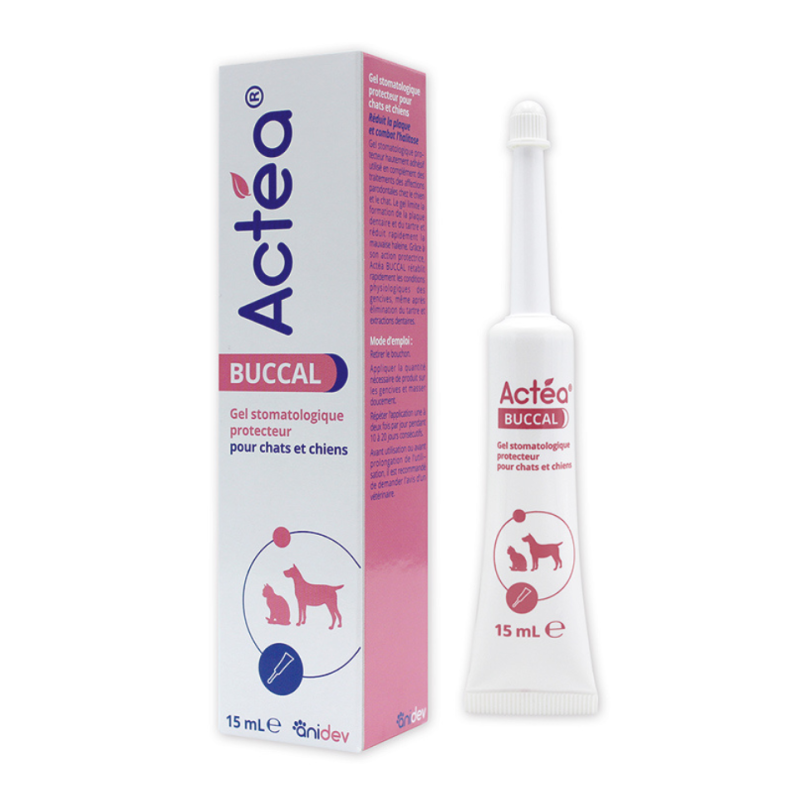 Anidev Actéa Buccal – gel apaisant gencive chien & chat