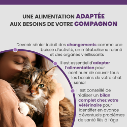 Alimentation adaptée aux chats seniors, Terrine Specific FGW