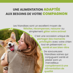 Friandise adaptée à tous les chiens