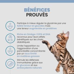 Bénéfices prouvés des croquettes Specific FED-DM Endocrine Support pour les chats diabétiques