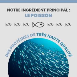 Poisson issu d'une pêche durable