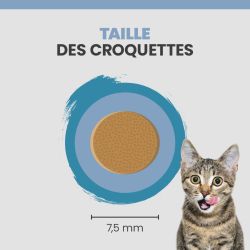 Taille d'une croquette Specific FED-DM