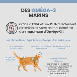 Bénéfices de l'Oméga 3 pour le chat.