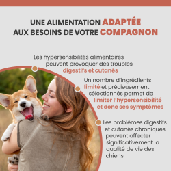 Alimentation adaptée au chien allergique. Terrine Specific CDW.
