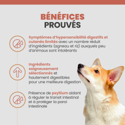 Bénéfices prouvés de la terrine Specific CDW pour chien allergique