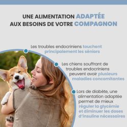 Alimentation adaptée aux besoins de votre chien diabétique