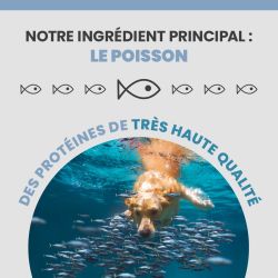 Des protéines de poisson d'une pêche durable