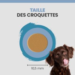 Taille d'une croquette specific CED-DM