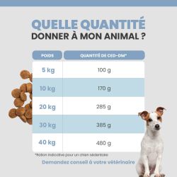Quantité idéale des croquettes pour le chien selon son poids