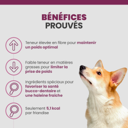 Bénéfices des friandises Specific CT-H sur le chien