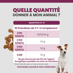 Quantité idéale de friandise pour votre chien