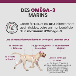 Avantages des Oméga-3 sur le corps du chien