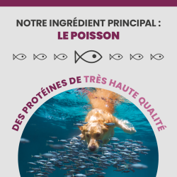 Le poisson la protéines principales de haute qualité de la friandise Specific CT-H
