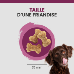 Taille de la friandise Specific CT-H