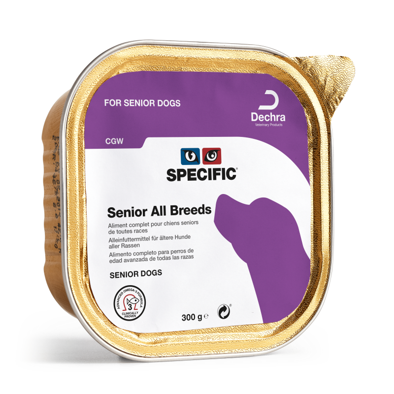 Specific All Breed CGW - Terrine Chien Sénior de toute race