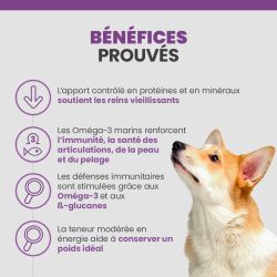 Bénéfices de la terrine Specific CGW pour les chiens seniors