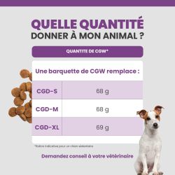 Quantité idéale de terrine pour chien senior