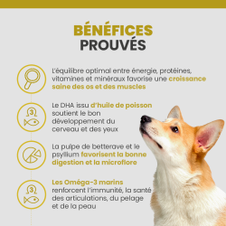 Bénéfices prouvés par les vétérinaires des croquettes Specific CPD-XL.