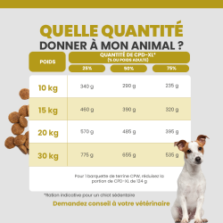 Quantité idéale de croquette pour un chiot de grande race et race géante selon son poids.