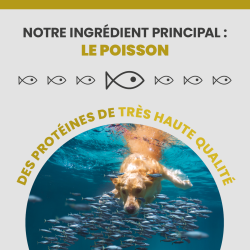 Le poisson, la protéine principale des croquettes Specific CPD-XL