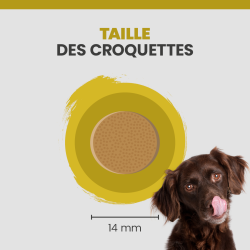 Taille d'une croquette Specific CPD-XL