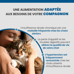 Alimentation adaptée au chat adulte et senior pour les chats souffrants de complications rénales ou cardiaques
