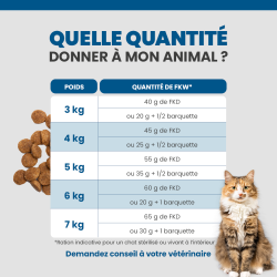 Quantité idéale de la terrine pour les chats