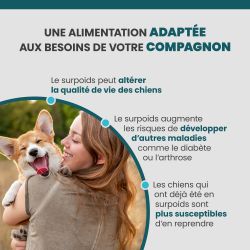 Croquettes adaptées aux chien obèse et en surpoids