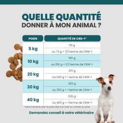 Quantité idéale à donner aux chiens selon son poids