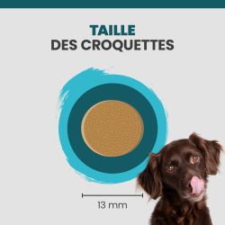 Taille de la croquette Specific CRD-1 Weight Reduction