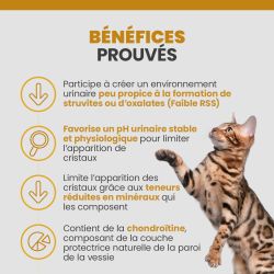 Bénéfices des croquettes specific FCD pour chats souffrant de calculs de struvite