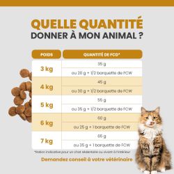 Quantité idéale de l'alimentation pour chat adulte selon son poids
