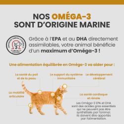 Bienfaits des oméga-3 sur le corps du chat