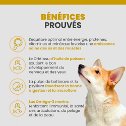 Bénéfices des croquettes Specific CPD-M pour chiot de race moyenne