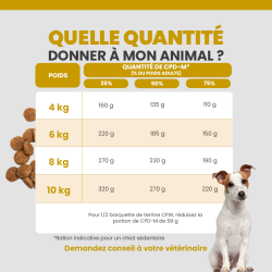 Utilisation des croquettes pour le chiot de race moyenne selon son poids