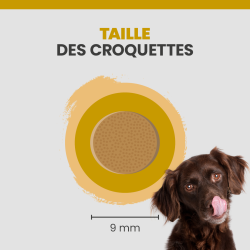 Taille d'une croquette Specific CPD-M