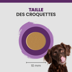 taille d'une croquette Specific CGD-M pour chien senior de race moyenne