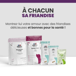friandise Specific pour tous types de chien