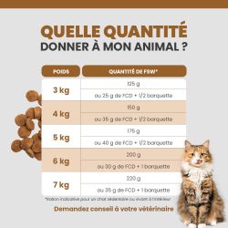 Quantité idéale de terrine pour le chat adulte selon son poids et son alimentation.