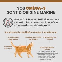 Bénéfices des oméga-3 EPA et DHA sur le chat adulte.