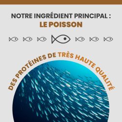 Le poisson, l'ingrédient et la protéine principale de la terrine Specific FSW.