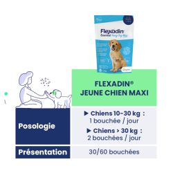 Flexadin Young dog Maxi