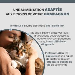 Alimentation adaptée aux besoins des chats seniors et adultes.