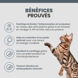 Bénéfices de la terrine Specific FJW pour le chats adultes et seniors.