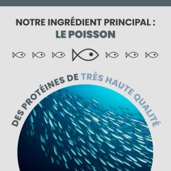 Le poisson de la terrine Specific FJW est de très haute qualité.